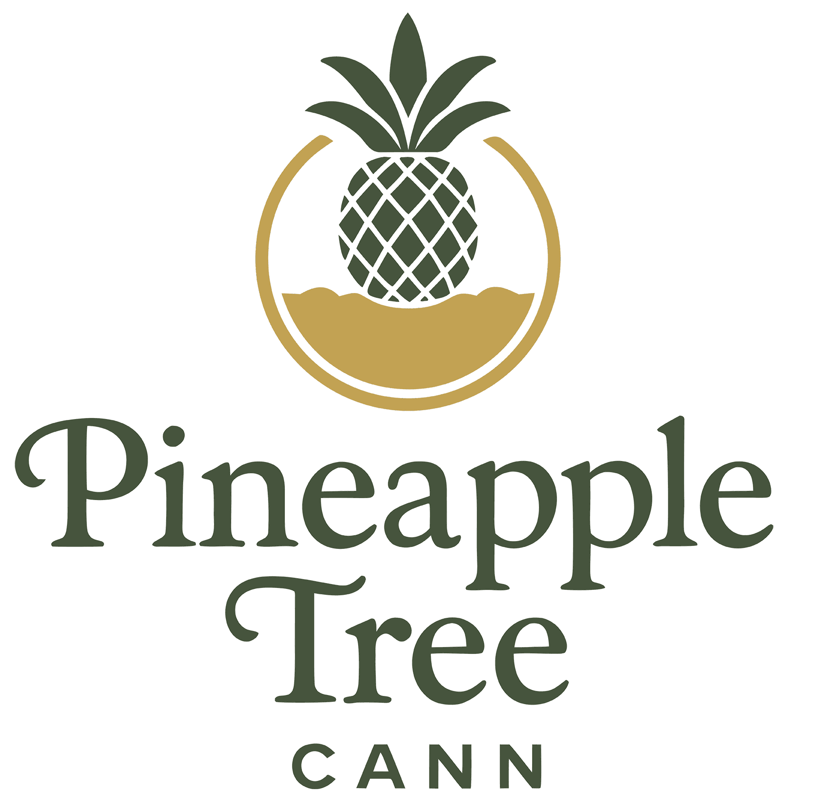 Pineapple Tree